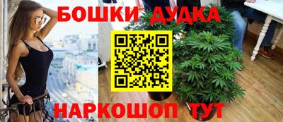 альфа пвп Владикавказ