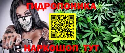 стаф Вязники