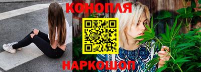 альфа пвп Владикавказ