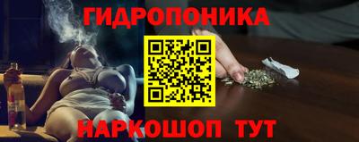 спайс Владимир