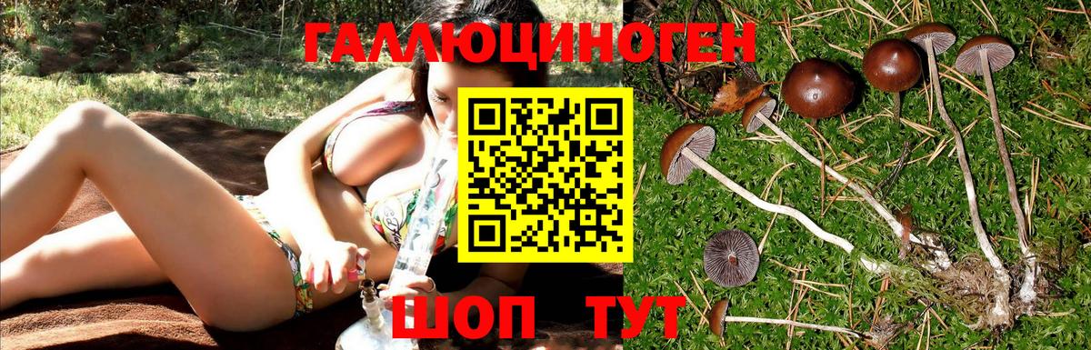 Галлюциногенные грибы Cubensis  Псилоцибиновые грибы ЛСД  Вход с VPN  Златоуст 